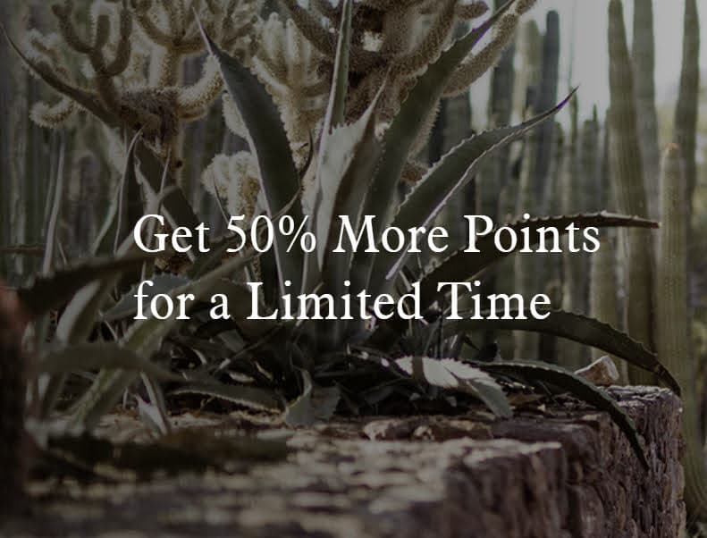 Marriott Bonvoy - Buy Point and Get 50% More 6- 13 October 2022